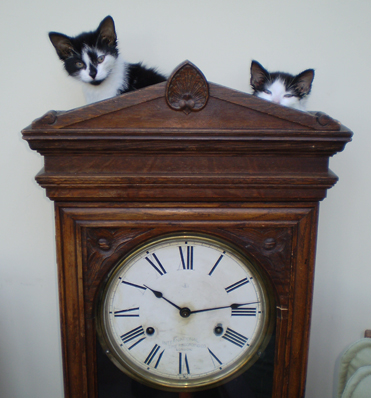Clock Kittens